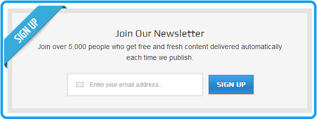 newsletter signup box preview