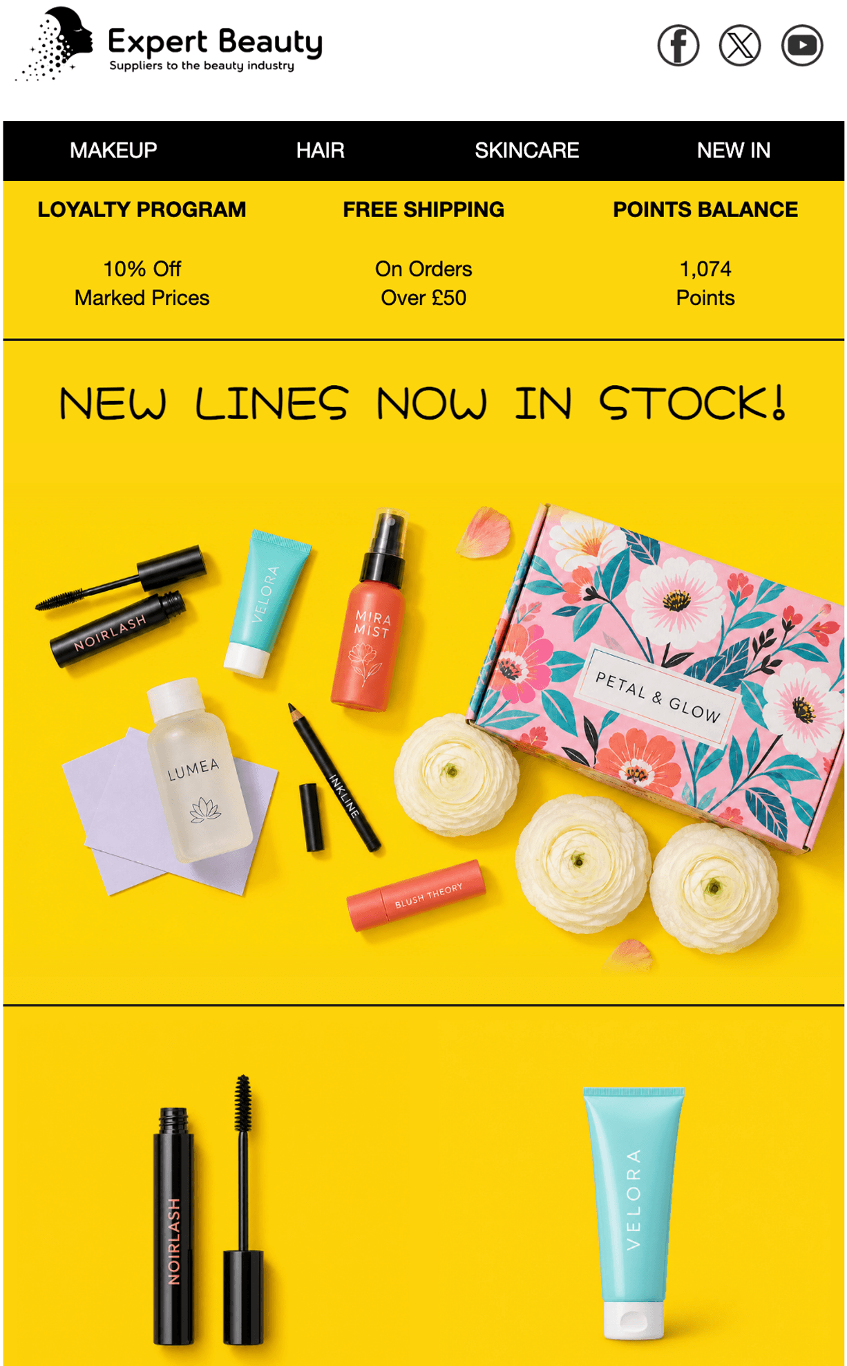 Expert Beauty email template