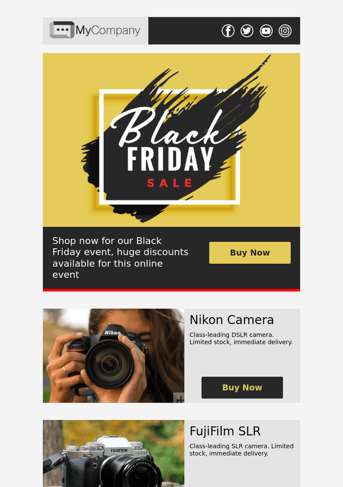 The Black Friday Sale 2 email template