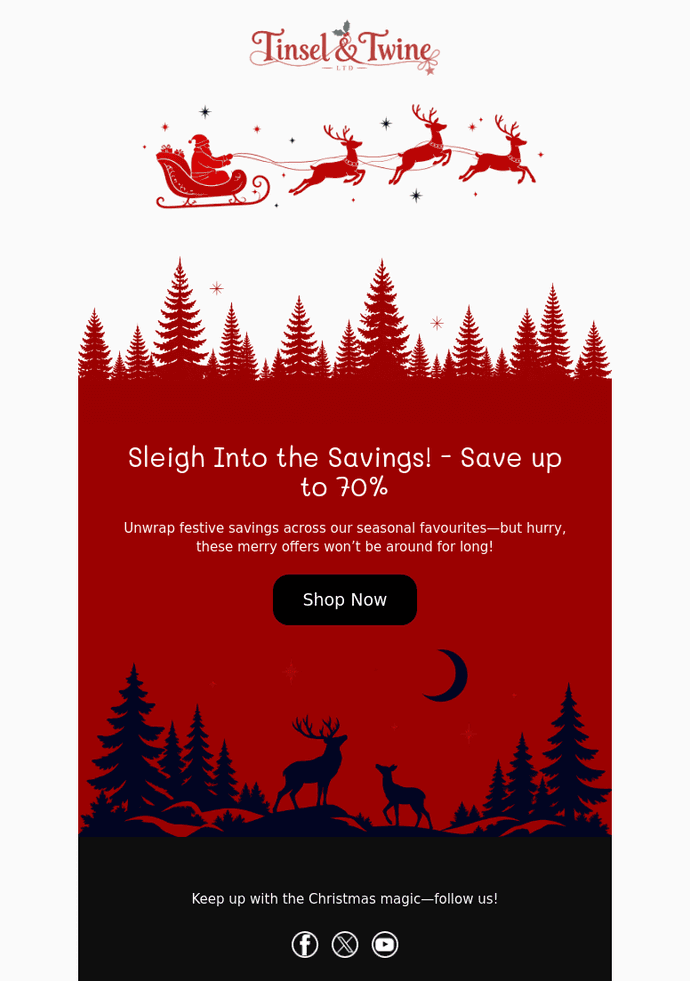 Festive Savings email template